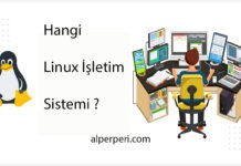 Hangi Linux işletim sistemi