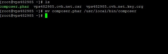 Centos Web Panel üzerine Laravel Kurulumu 10 lrvl7