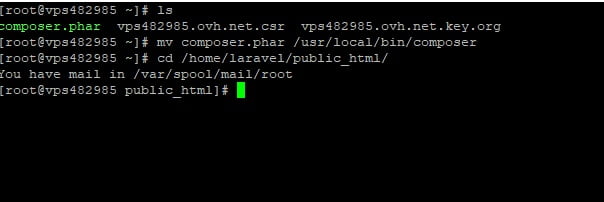 Centos Web Panel üzerine Laravel Kurulumu 11 lrvl8