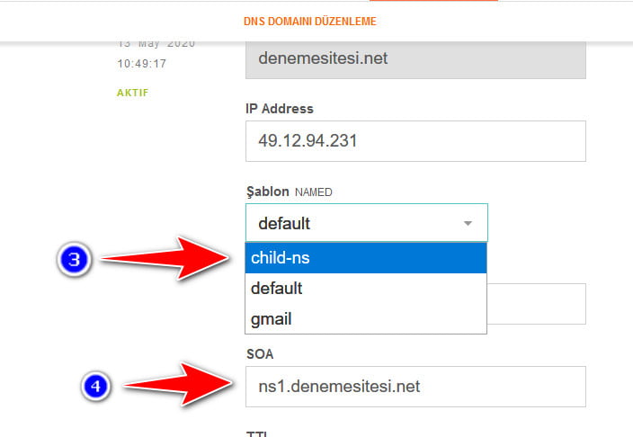 vestacp site ekleme dns 1