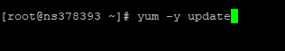 yum y update